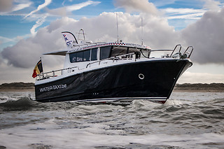 Zeehonden spotten voor 2 met Water-Taxi.be (Blankenberge - West-Vlaanderen)