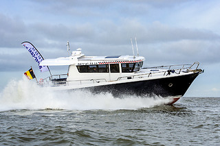 Zeehonden spotten voor 2 met Water-Taxi.be (Blankenberge - West-Vlaanderen)