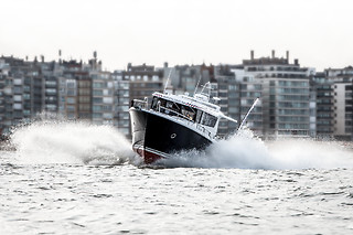 Zeehonden spotten voor 2 met Water-Taxi.be (Blankenberge - West-Vlaanderen)