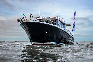 Zeehonden spotten voor 2 met Water-Taxi.be (Blankenberge - West-Vlaanderen)