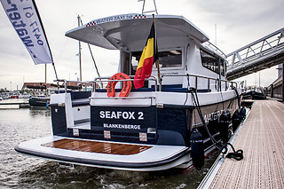 Zeehonden spotten voor 2 met Water-Taxi.be (Blankenberge - West-Vlaanderen)