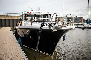 Zeehonden spotten voor 2 met Water-Taxi.be (Blankenberge - West-Vlaanderen)