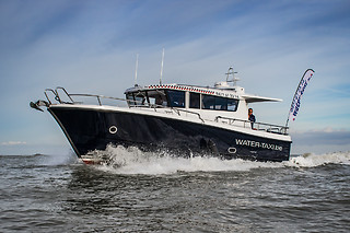 Zeehonden spotten voor 2 met Water-Taxi.be (Blankenberge - West-Vlaanderen)