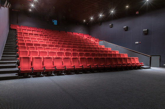 Pathé - photo 1