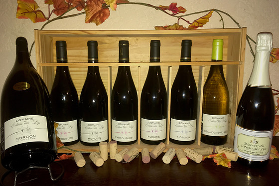 Domaine Du Côteau Des Lys - photo 5