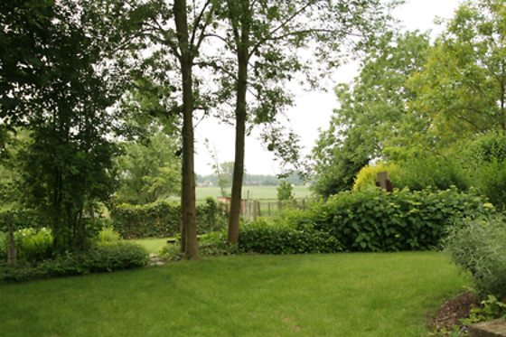 B&B Goudsbloempje - photo 2