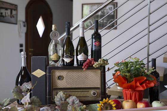 Azienda Agricola Bressan Daniele - photo 0