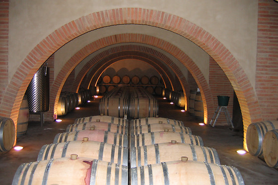 Château Montana - photo 3