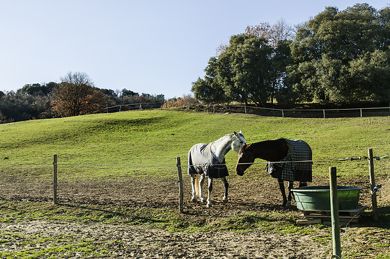 Domaine de la Trille - photo 6