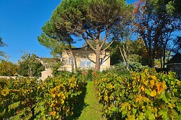 Château Enclos Haut Mazeyres