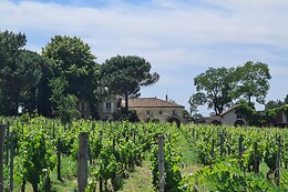 Château Enclos Haut Mazeyres