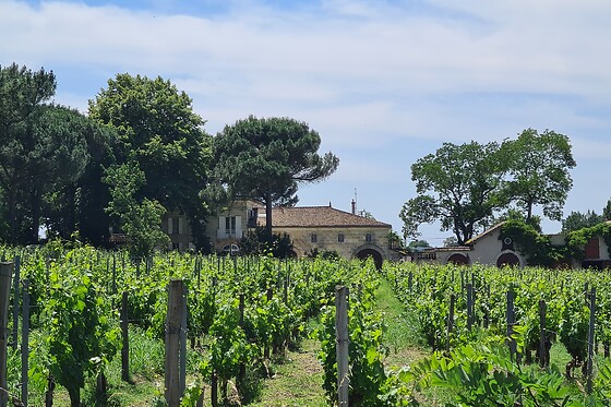 Château Enclos Haut Mazeyres - photo 7