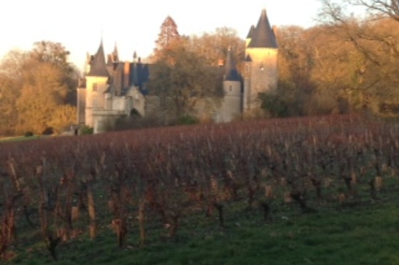 Le Clos de Caramélia - photo 4