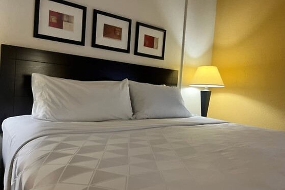 Online Booking EPS - photo 8