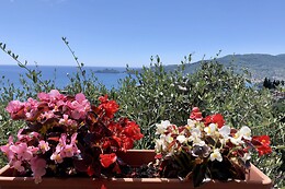 Glamping Portofino