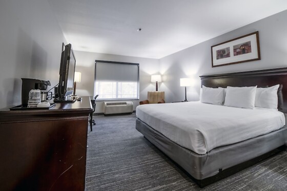 Online Booking EPS - photo 6