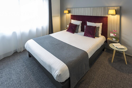 Nemea Appart'Hotel Nancy Grand Coeur - photo 0