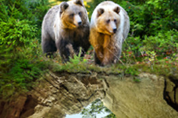 Le Domaine des Grottes de Han