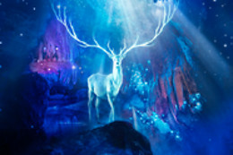 Le Domaine des Grottes de Han
