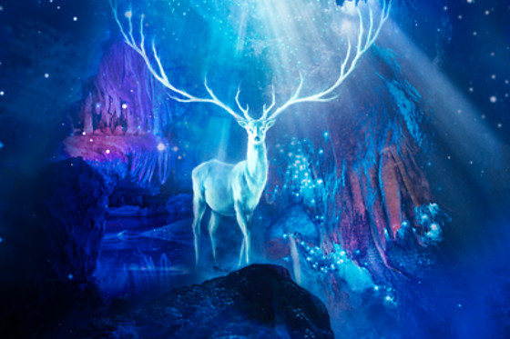 Le Domaine des Grottes de Han - photo 9