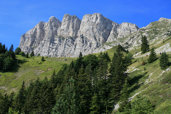 EcoRide - photo 2