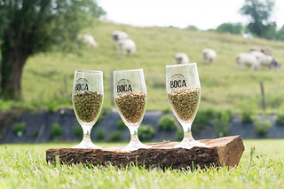 Visite de la brasserie et dégustation pour 2 à la Brasserie Artisanale de la Fabrique - BOCA à Heuseux (Liège)