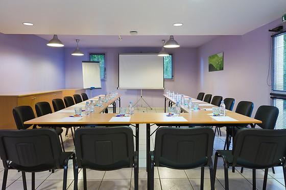 Ibis Budget Chilly Mazarin - photo 16