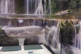 FENIX FUSION ESTETIC CENTER