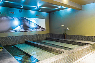 Accès au wellness au D-Hotel à Courtrai (Flandre occidentale)