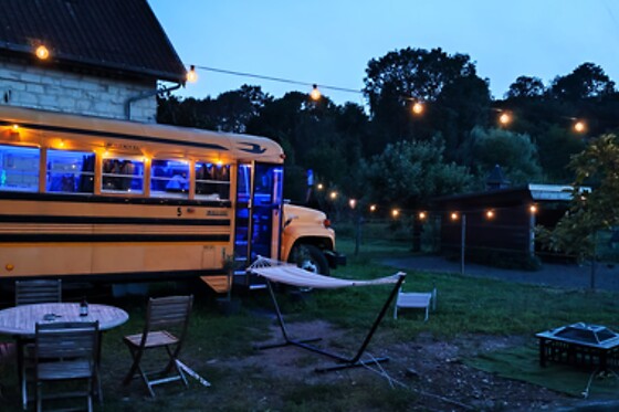 The School Bus - photo 3
