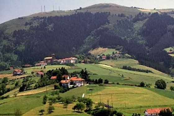 TOLARE BERRI - photo 15