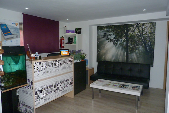 FISIOLIVE - photo 1