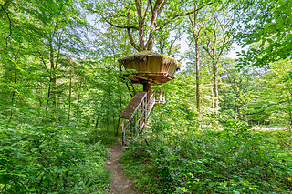 Un séjour à 2 à L'Arbre à Cabane à Guyonvelle (52)