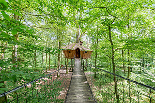Un séjour à 2 à L'Arbre à Cabane à Guyonvelle (52)