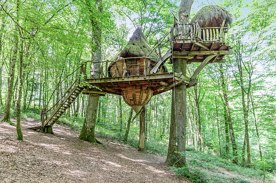 Un séjour à 2 à L'Arbre à Cabane à Guyonvelle (52)