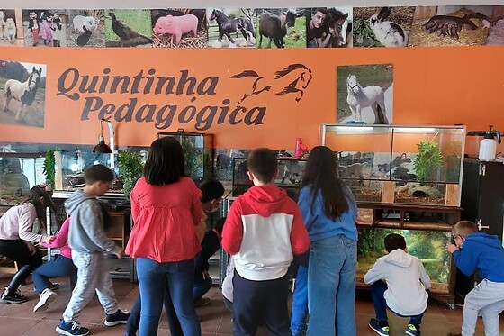 QUINTINHA PEDAGÓGICA DE CANELAS | CENTRO EQUESTRE COUTO PEREIRA - photo 8