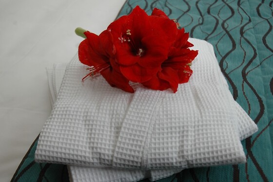 Online Booking EPS - photo 6