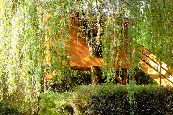 Espace Nature au creux du chênes - photo 1