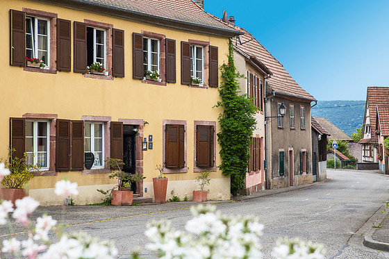Luxhof - photo 0