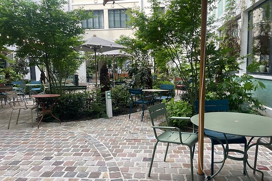 Babines - photo 5