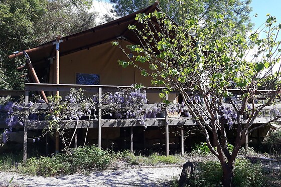 Quinta Japonesa - photo 27