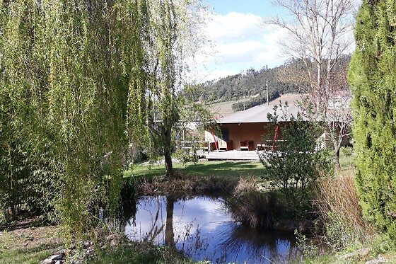 Quinta Japonesa - photo 13