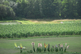 Chateau des Faures