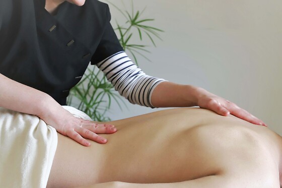 SANTOLINE Massage - photo 3