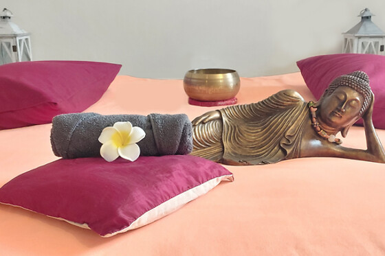 SANTOLINE Massage - photo 4