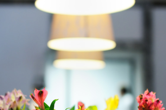 EL PAISANO - photo 1