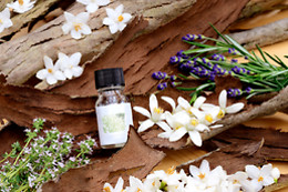 CLINICAS VITALFISIO