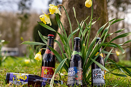 Beer Family