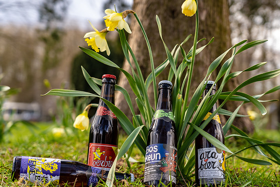 Beer Family - photo 12