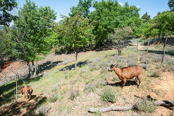 La Colline des Ocres - photo 15